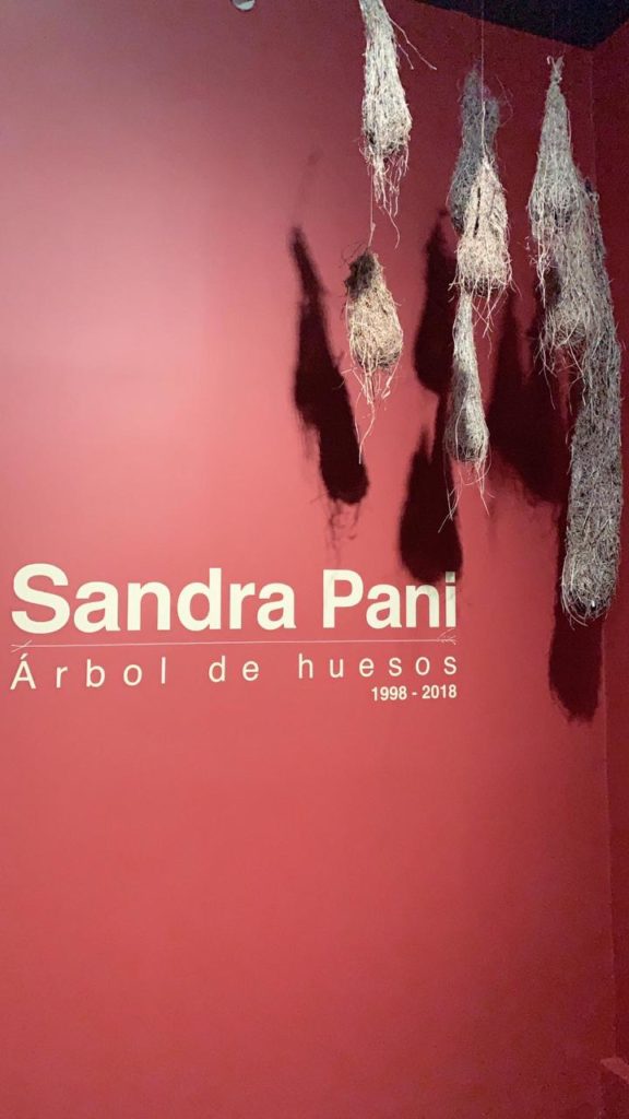 Sandra Pani